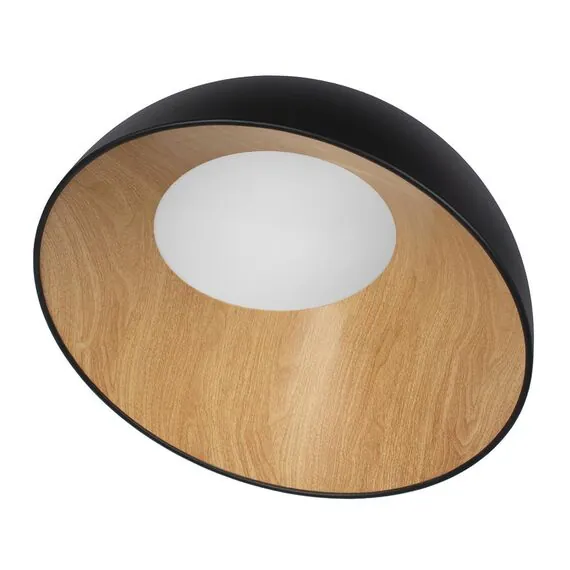 LOFT IT 10197/500 Black Потолочный светильник Egg, изображение 3