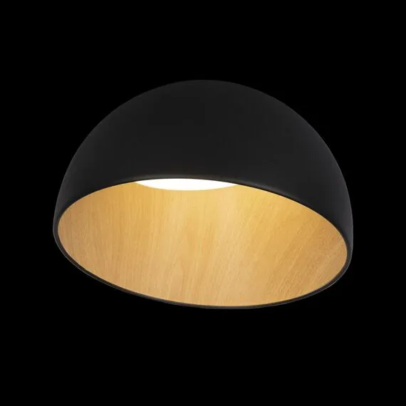 LOFT IT 10197/350 Black Потолочный светильник Egg, изображение 2
