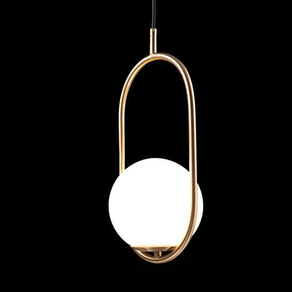 LOFT IT LOFT2595-A Подвесной светильник Glob, изображение 4