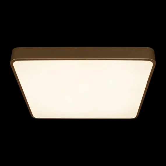 LOFT IT 10228/D Потолочный светильник Flims, изображение 6