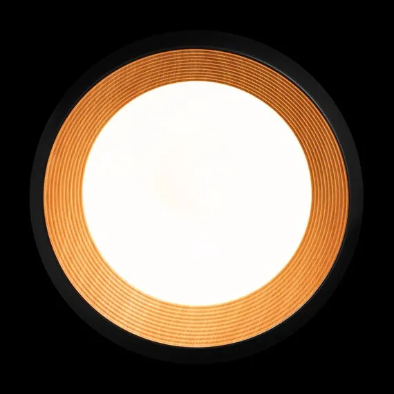 LOFT IT 10255/500 Black Потолочный светильник Folk, изображение 3