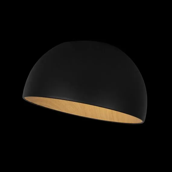 LOFT IT 10197/350 Black Потолочный светильник Egg, изображение 5