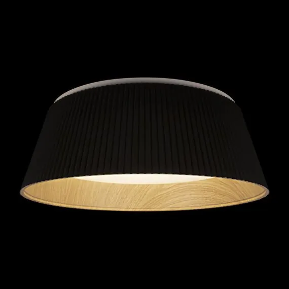 LOFT IT 10224 Black Потолочный светильник Evans, изображение 2
