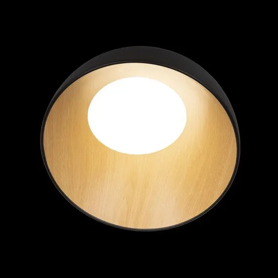 LOFT IT 10197/350 Black Потолочный светильник Egg, изображение 4
