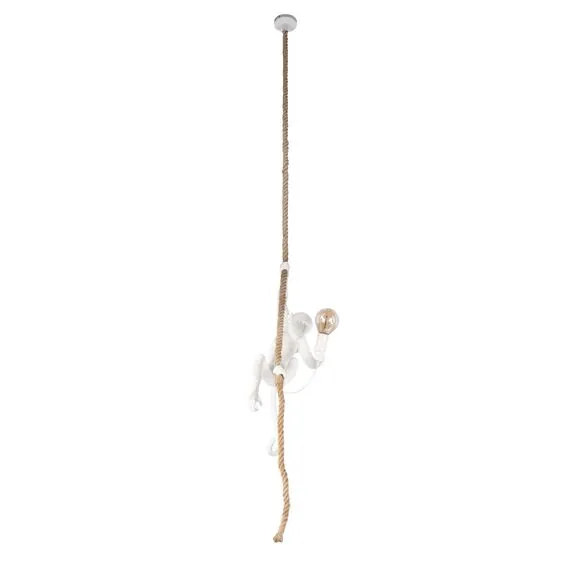 LOFT IT 10314P Подвесной светильник Monkey, изображение 3