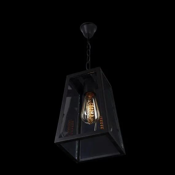LOFT IT LOFT1127 Подвесной светильник Modern filament, изображение 4
