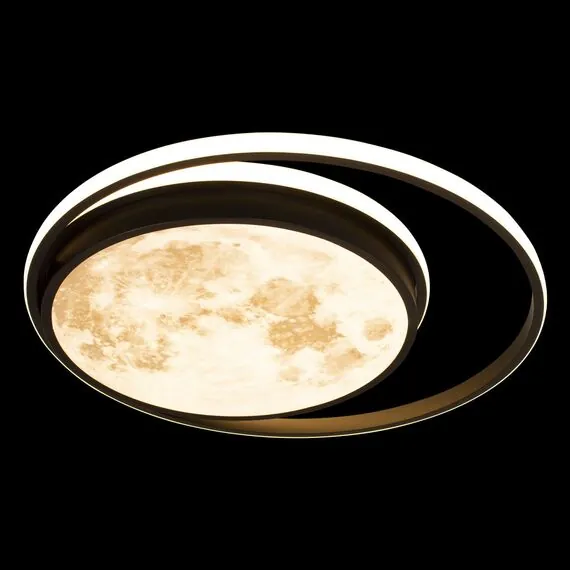 LOFT IT 10217 Потолочный светильник Luna, изображение 4