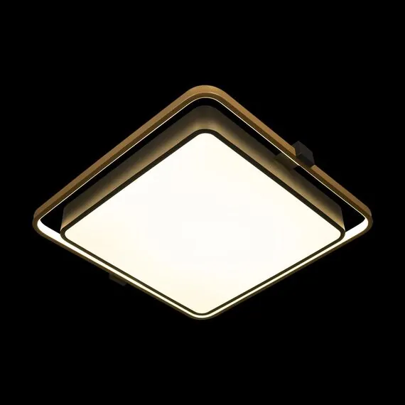 LOFT IT 10172 Потолочный светильник Mike, изображение 2
