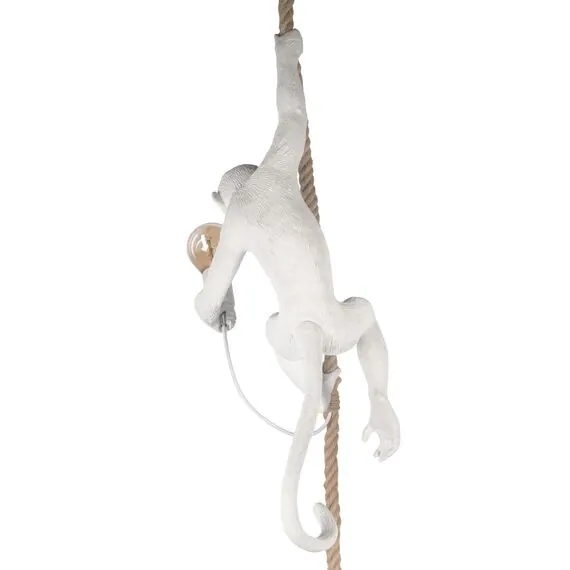 LOFT IT 10314P Подвесной светильник Monkey, изображение 7