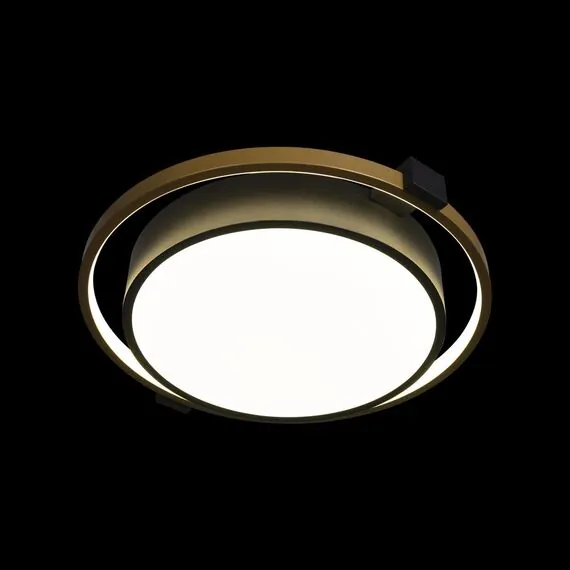 LOFT IT 10169 Потолочный светильник Mike, изображение 2