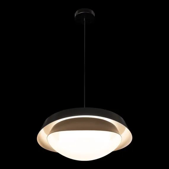 LOFT IT 10256P Black Подвесной светильник Petale, изображение 6
