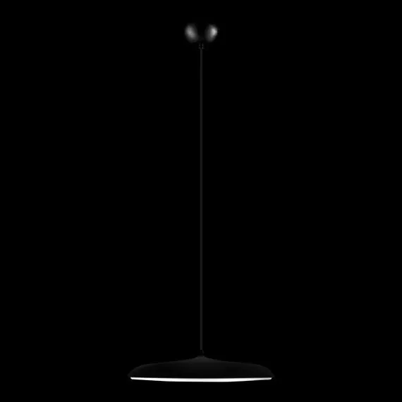 LOFT IT 10119 Black Подвесной светильник Plato, изображение 2