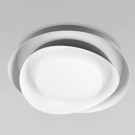 LOFT IT 10256 Black Потолочный светильник Petale, изображение 3
