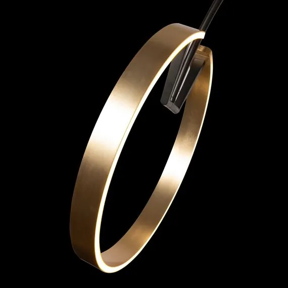 LOFT IT 10027 Торшер Ring, изображение 6