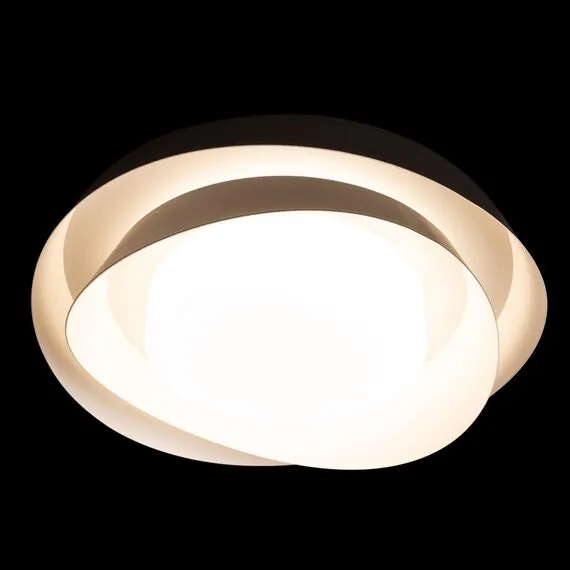 LOFT IT 10256 Black Потолочный светильник Petale, изображение 4