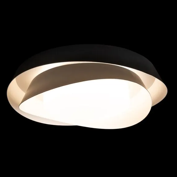 LOFT IT 10256 Black Потолочный светильник Petale, изображение 2