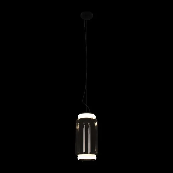 LOFT IT 10194/S Подвесной светильник Noctambule, изображение 2