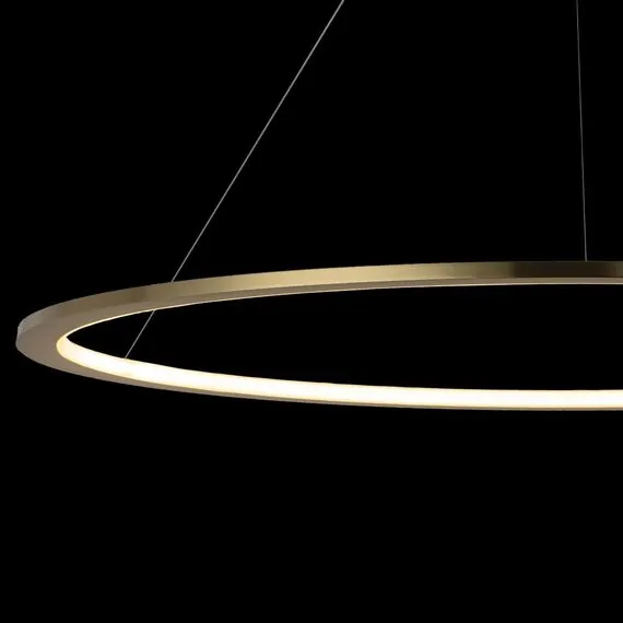 LOFT IT 10014XXL Подвесной светильник Ring, изображение 6