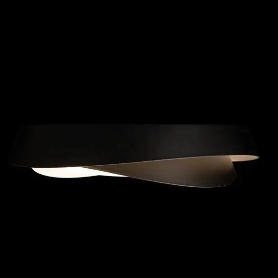 LOFT IT 10256 Black Потолочный светильник Petale, изображение 6