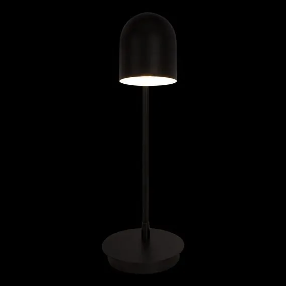 LOFT IT 10144 Black Настольная лампа Tango, изображение 4