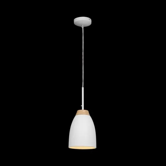 LOFT IT LOFT4402A-WH Подвесной светильник Watchman, изображение 2