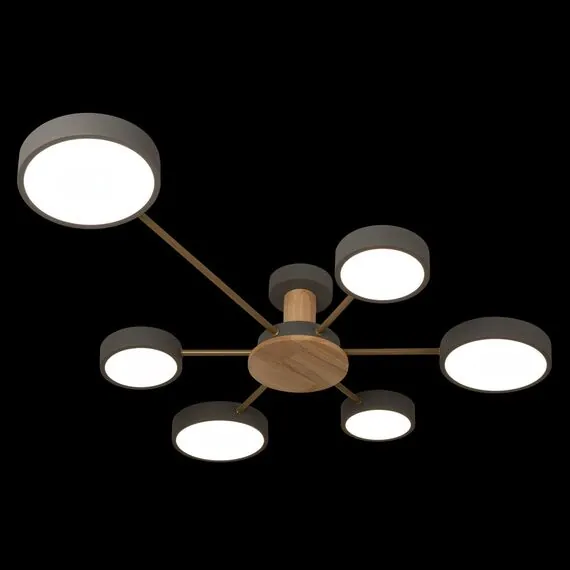 LOFT IT 10316/6 Grey Потолочный светильник Sunrise, изображение 2