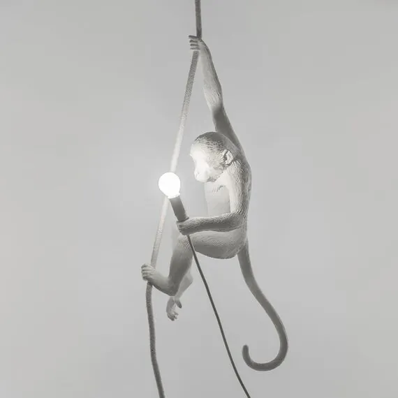 Seletti 00119885; 14883 Подвесной светильник Monkey Lamp Ceiling, изображение 5