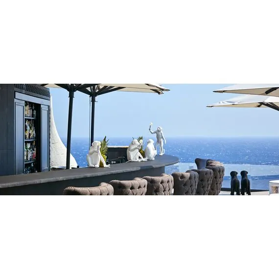 Seletti 00127071; 14926 Настольная лампа Monkey Lamp Outdoor Standing, изображение 13