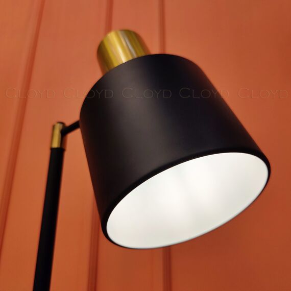 Cloyd 40016 Торшер RINCON F1 высота - 155 см,, изображение 4