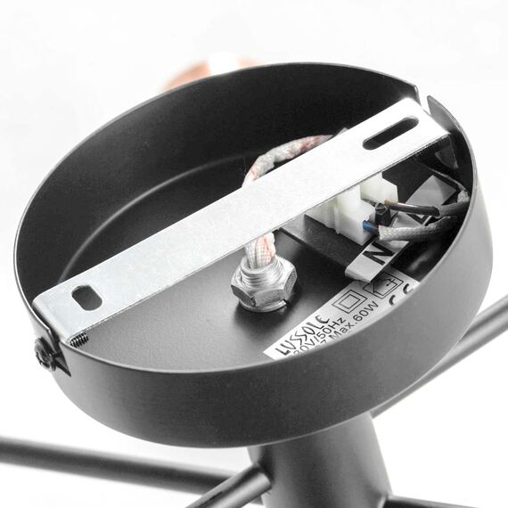Lussole LSP-8200 Потолочный светильник Huron, изображение 5