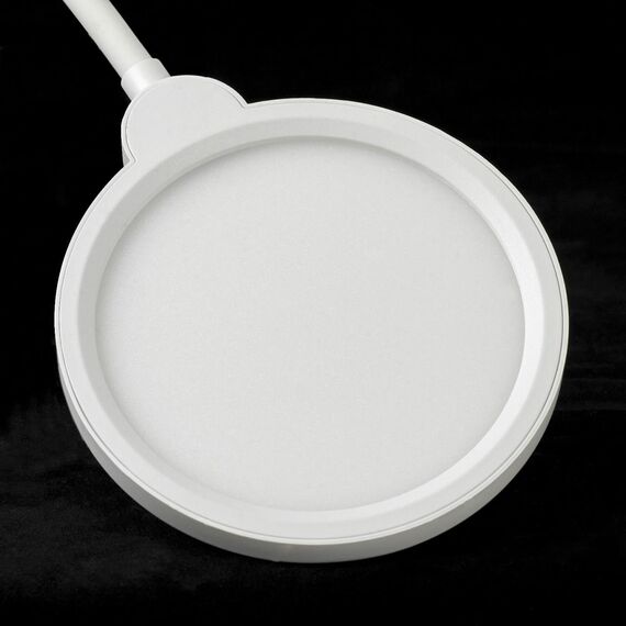 Lussole LSP-0919 Торшер, изображение 2