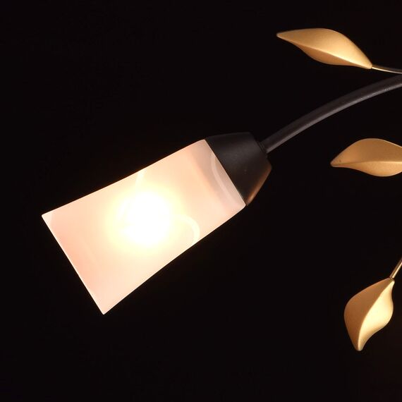MW-LIGHT 242015206 Люстра потолочная Восторг, изображение 3