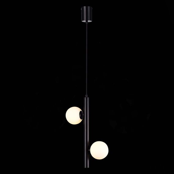 ST LUCE SL1185.403.02 Подвес ST-Luce Черный/Белый G9 2*5W, изображение 5