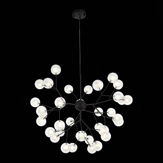 ST LUCE SL376.403.36 Светильник подвесной ST-Luce Черный/Прозрачный, Белый G4 LED 36*2W, изображение 5