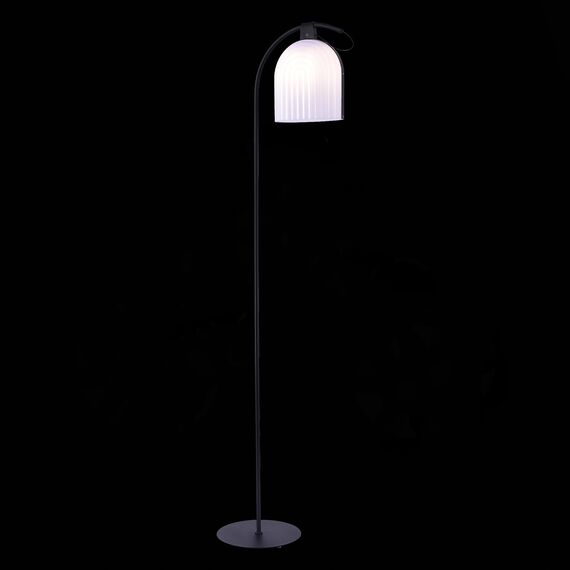 ST LUCE SL1302.405.01 Торшер ST-Luce Черный/Белый E27 LED 1*7W, изображение 4