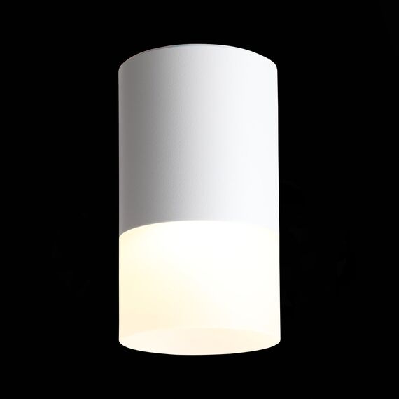 ST LUCE ST100.502.05 Светильник потолочный Белый LED 1*5W 3000K 390Lm Ra>80 120° D64xH110 170-240V