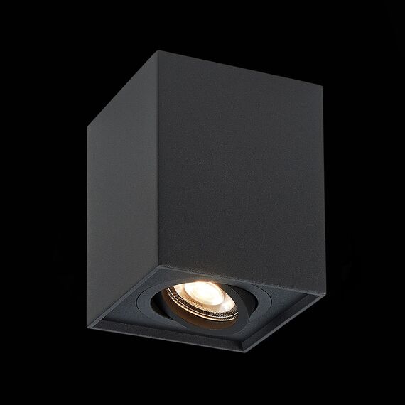 ST LUCE ST109.407.01 Светильник потолочный Черный GU10 1*50W  L100xW100xH123 220V Без ламп, изображение 4