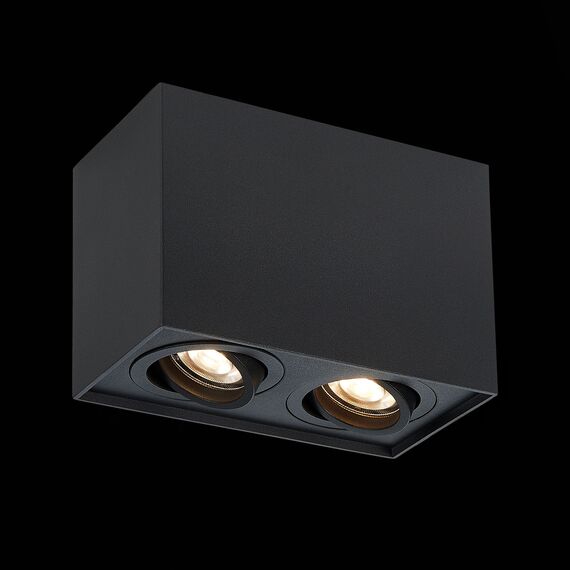 ST LUCE ST109.407.02 Светильник потолочный Черный GU10 2*50W  L181xW100xH123 220V Без ламп, изображение 4