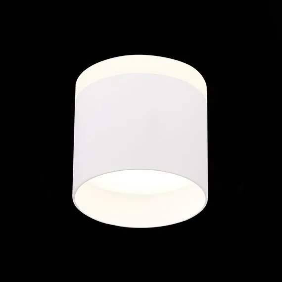 ST LUCE ST102.542.09 Светильник потолочный Белый LED 1*9W 4000K 702Lm Ra>80 120° IP20 D79xH75 170-240V, изображение 4