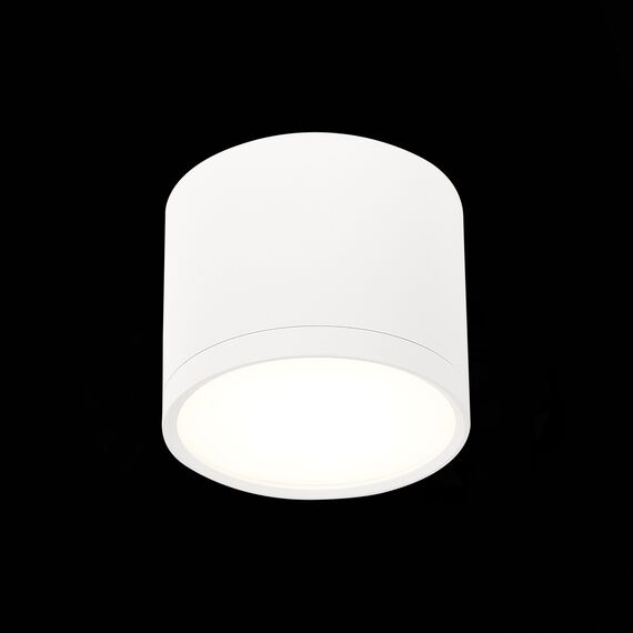 ST LUCE ST113.542.09 Светильник потолочный Белый LED 1*9W 4000K 702Lm Ra>90 120° IP20 D88xH75 170-240V, изображение 4