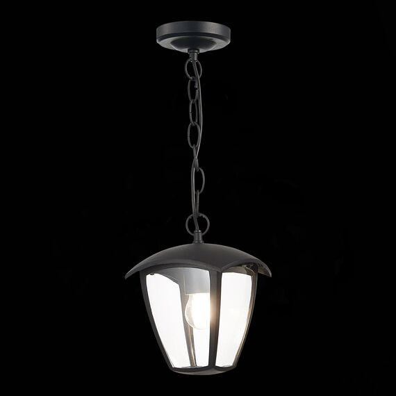 ST LUCE SL081.403.01 Светильник уличный подвесной ST-Luce Черный/Черный, Прозрачный E27 1*40W, изображение 5