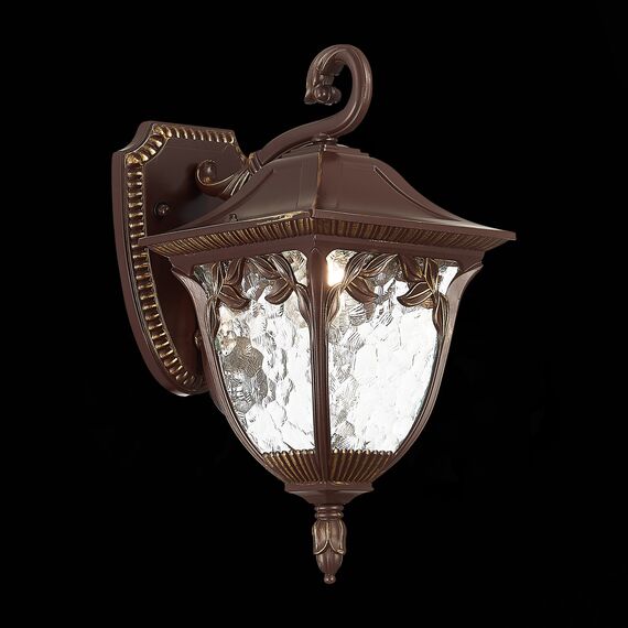 ST LUCE SL083.701.01 Светильник уличный настенный ST-Luce Кофейный/Кофейный, Прозрачный E27 1*60W CHIANI, изображение 2