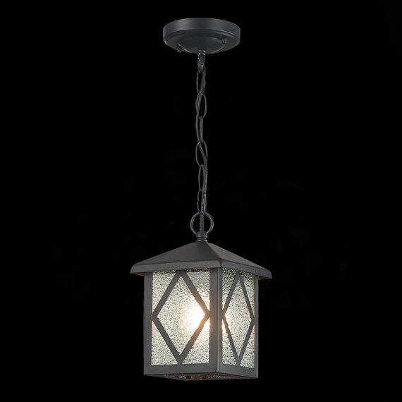 ST LUCE SL084.403.01 Светильник уличный подвесной ST-Luce Черный/Черный, Прозрачный E27 1*60W, изображение 6