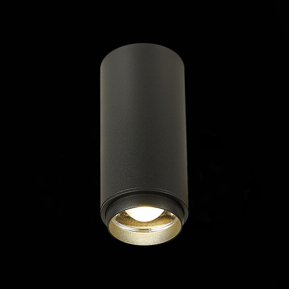 ST LUCE ST600.442.10 Светильник потолочный Zoom Черный LED 1*10W 4000K 1 000Lm Ra>80 15-60° IP20 D59xH130 17, изображение 5