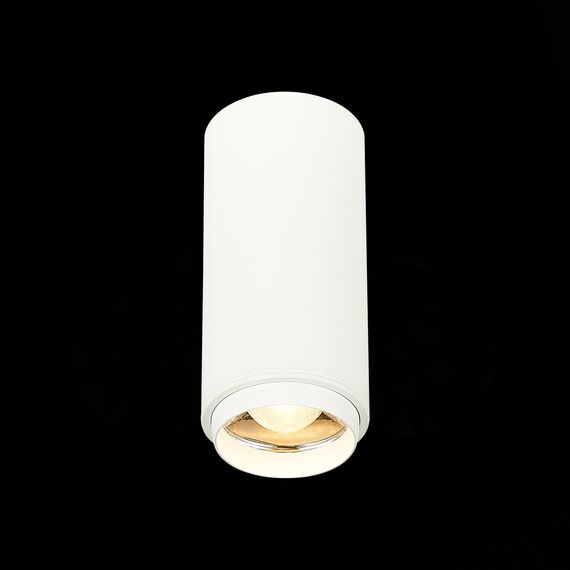ST LUCE ST600.532.10 Светильник потолочный Zoom Белый LED 1*10W 3000K 1 000Lm Ra>80 15-60° IP20 D59xH130 170, изображение 5