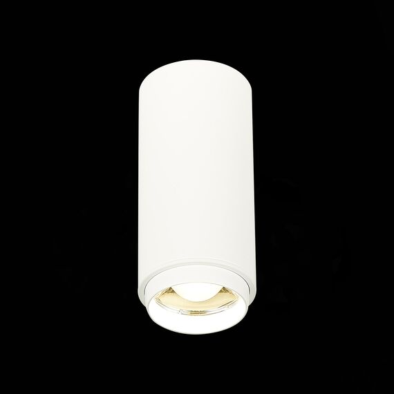 ST LUCE ST600.542.10 Светильник потолочный Zoom Белый LED 1*10W 4000K 1 000Lm Ra>80 15-60° IP20 D59xH130 170, изображение 5