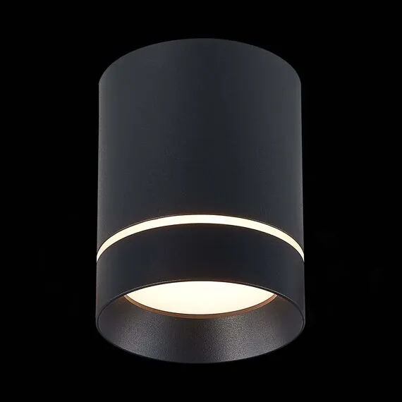 ST LUCE ST115.432.12 Светильник потолочный Черный LED 1*12W 3000K 840Lm Ra>90 120° IP20 D79xH100 170-240V, изображение 3