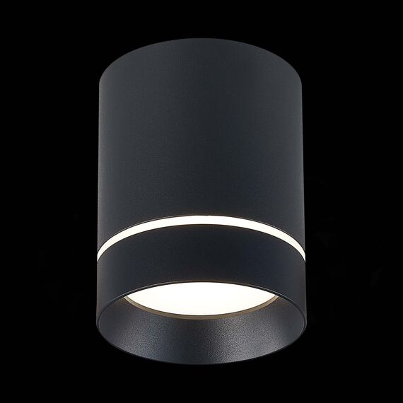 ST LUCE ST115.442.12 Светильник потолочный Черный LED 1*12W 4000K 840Lm Ra>90 120° IP20 D79xH100 170-240V, изображение 4