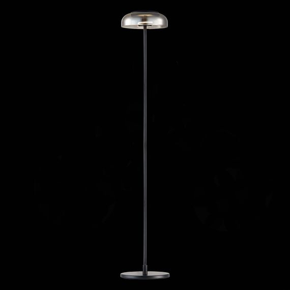 ST LUCE SL6002.405.01 Торшер ST-Luce Черный/Дымчатый LED 1*7W 4000K, изображение 5