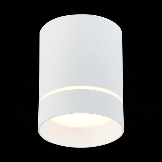 ST LUCE ST115.532.12 Светильник потолочный Белый LED 1*12W 3000K 840Lm Ra>90 120° IP20 D79xH100 170-240V, изображение 5